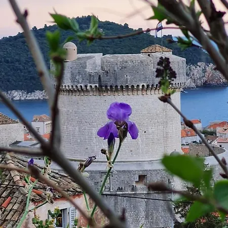 Bruana 5 Dubrovnik